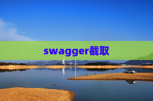 swagger截取